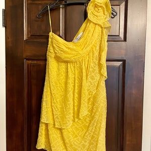 Badgley Mischka Dress